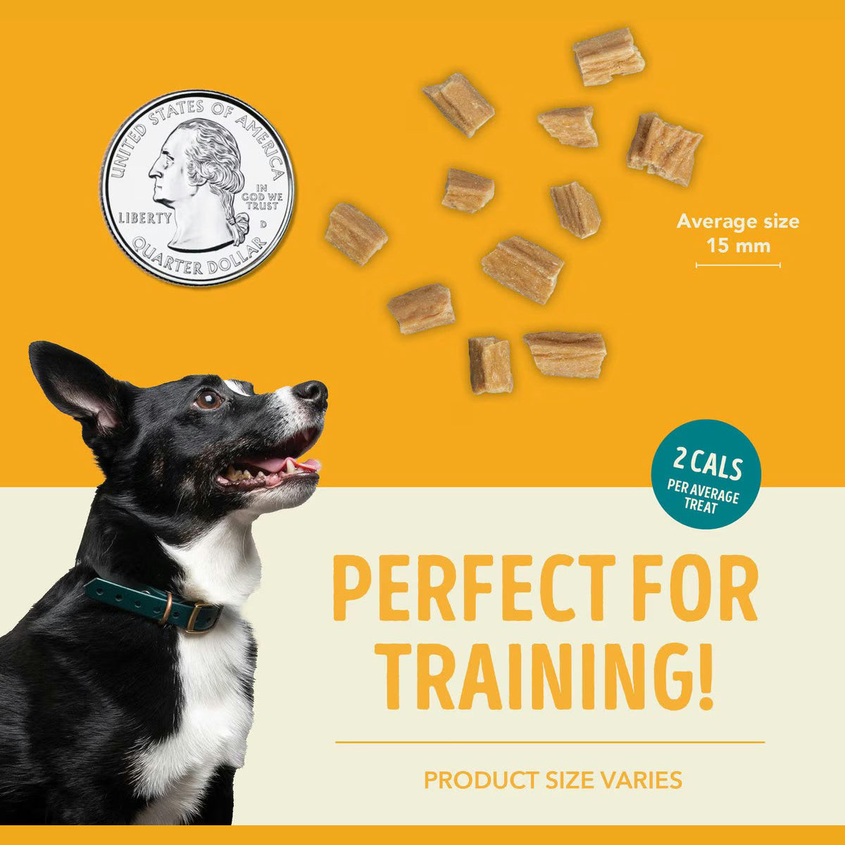 ACANA jerky bites poultry dog treats ideal for training, shown with a quarter for size reference
