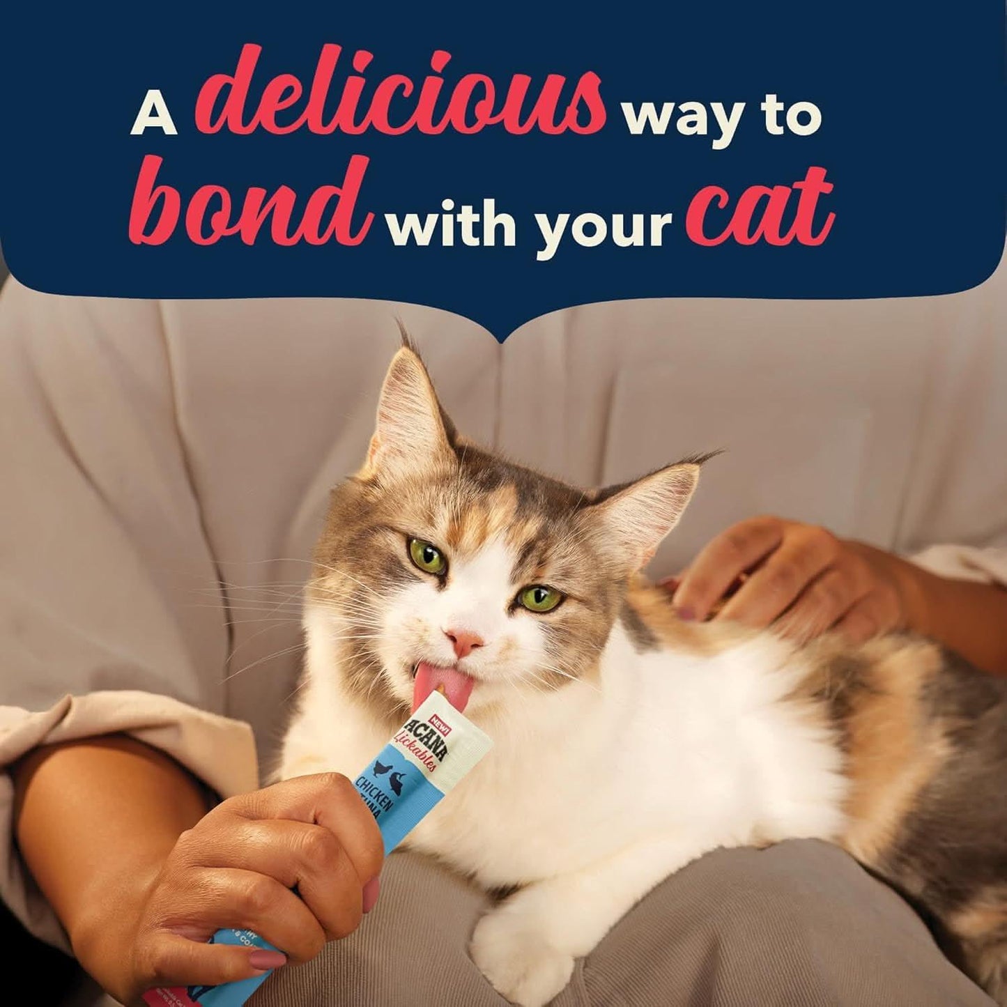 Acana lickable healthy skin and coat cat treats being fed to a happy cat by its owner