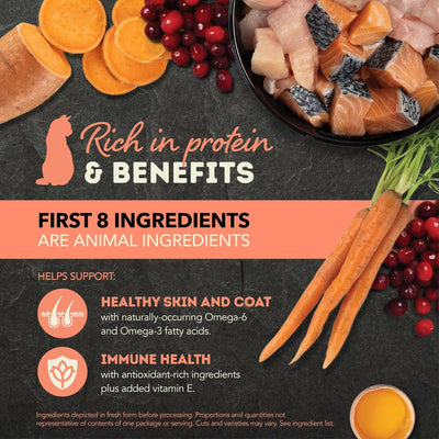 ACANA salmon and chicken wet cat food with real meat ingredients for healthy skin and coat