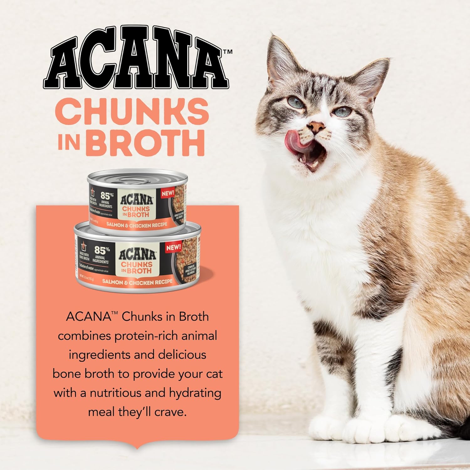 ACANA salmon and chicken wet cat food in broth with chunks for a nutritious cat meal