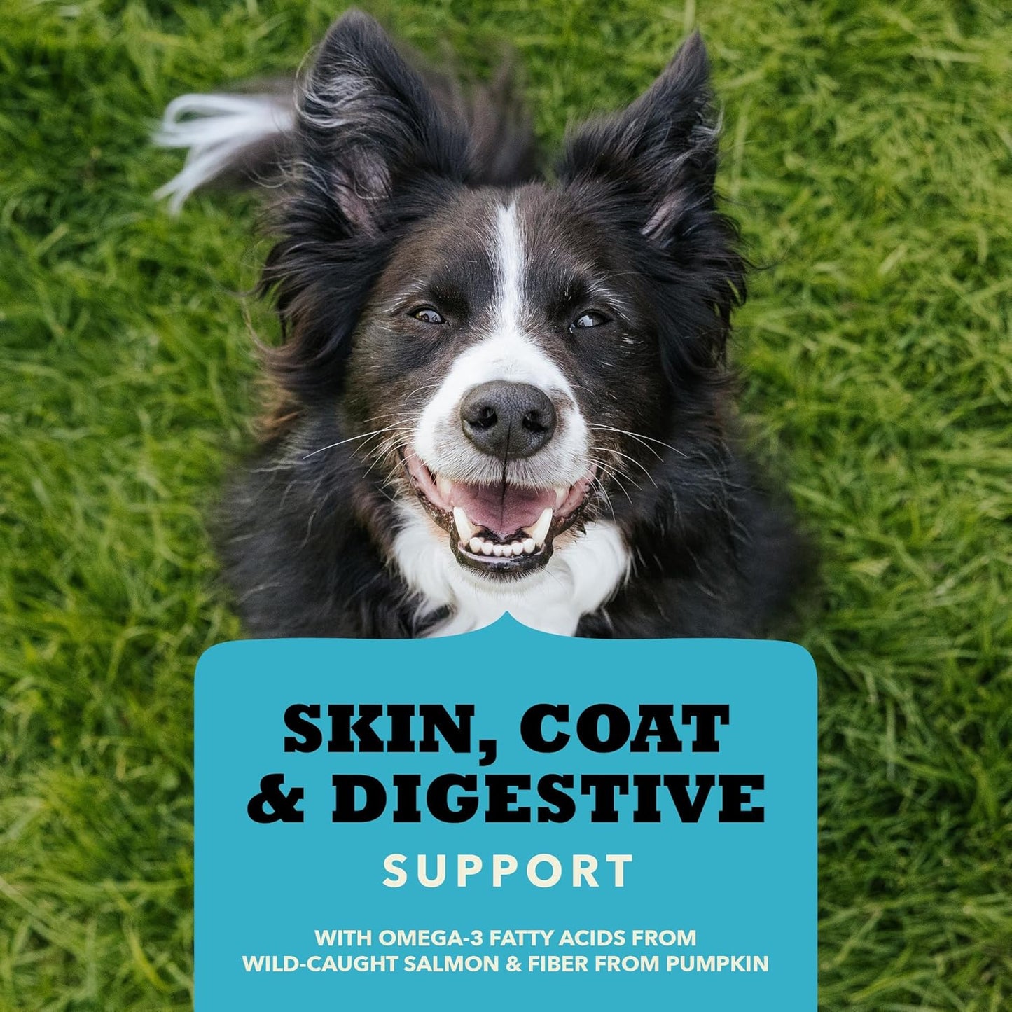 Happy dog on grass with Acana skin and coat dog treats promoting skin and digestive support