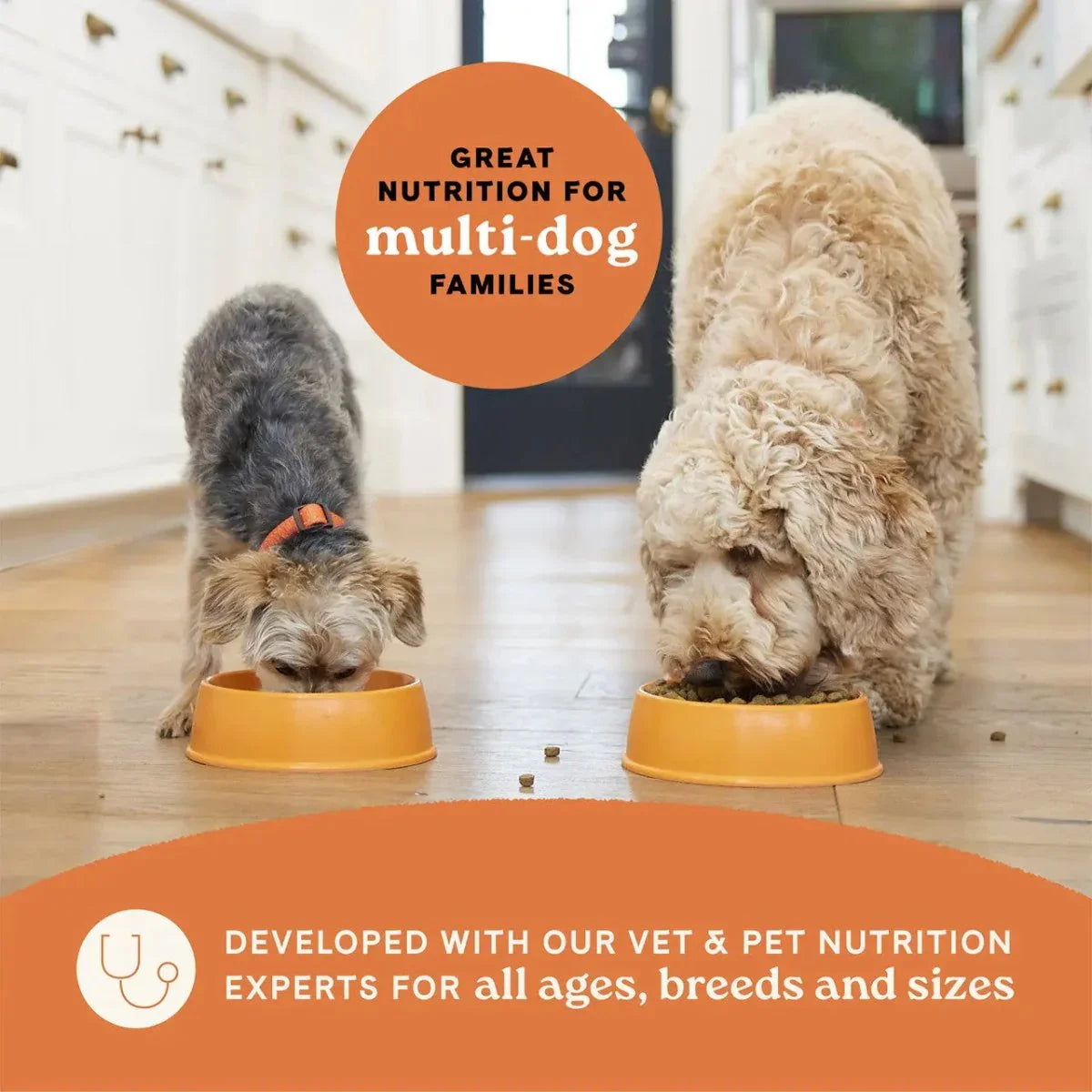 All Life Stages Dry Dog Food, Multi - Protein Recipe - Talis Us