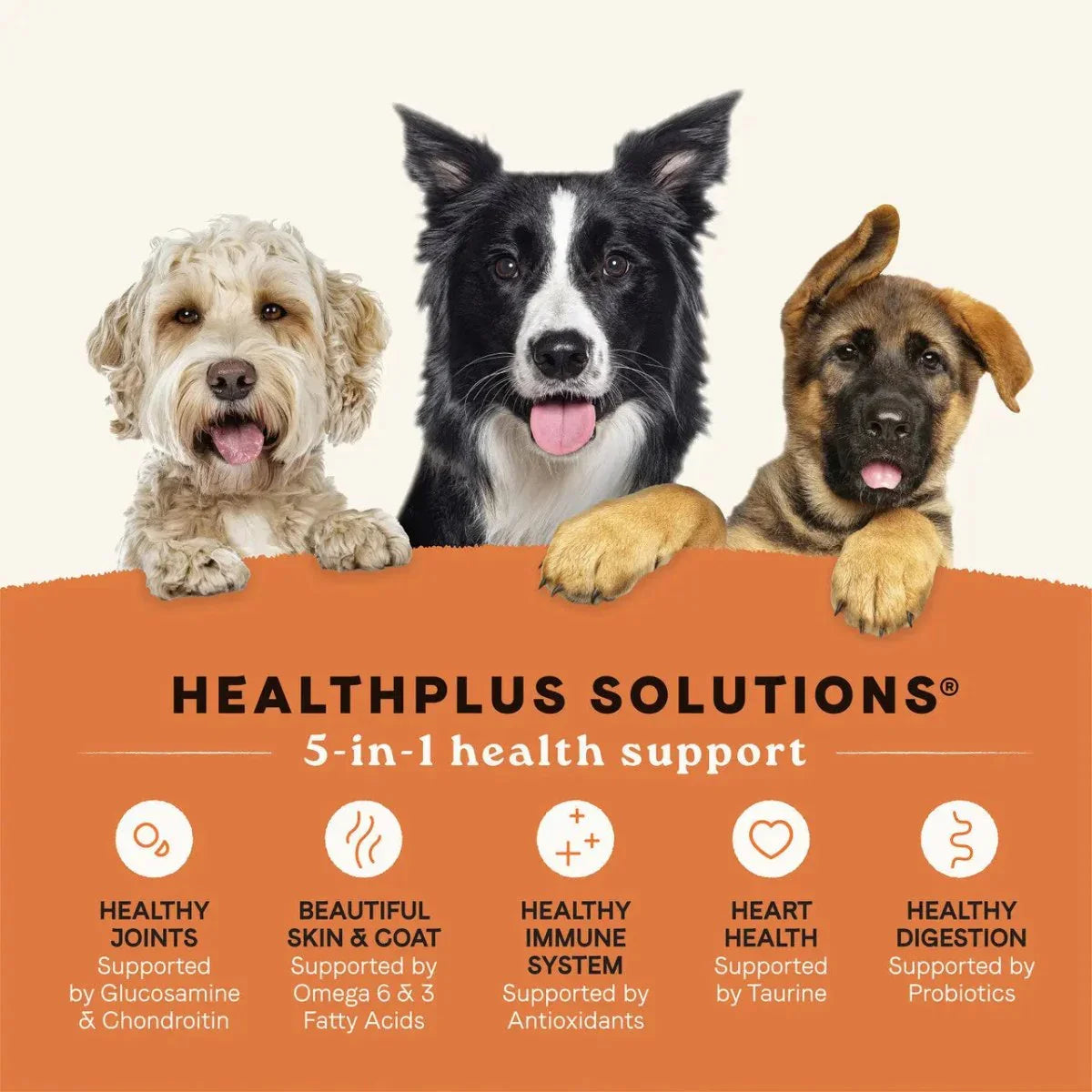 All Life Stages Dry Dog Food, Real Chicken & Potato Recipe - Talis Us
