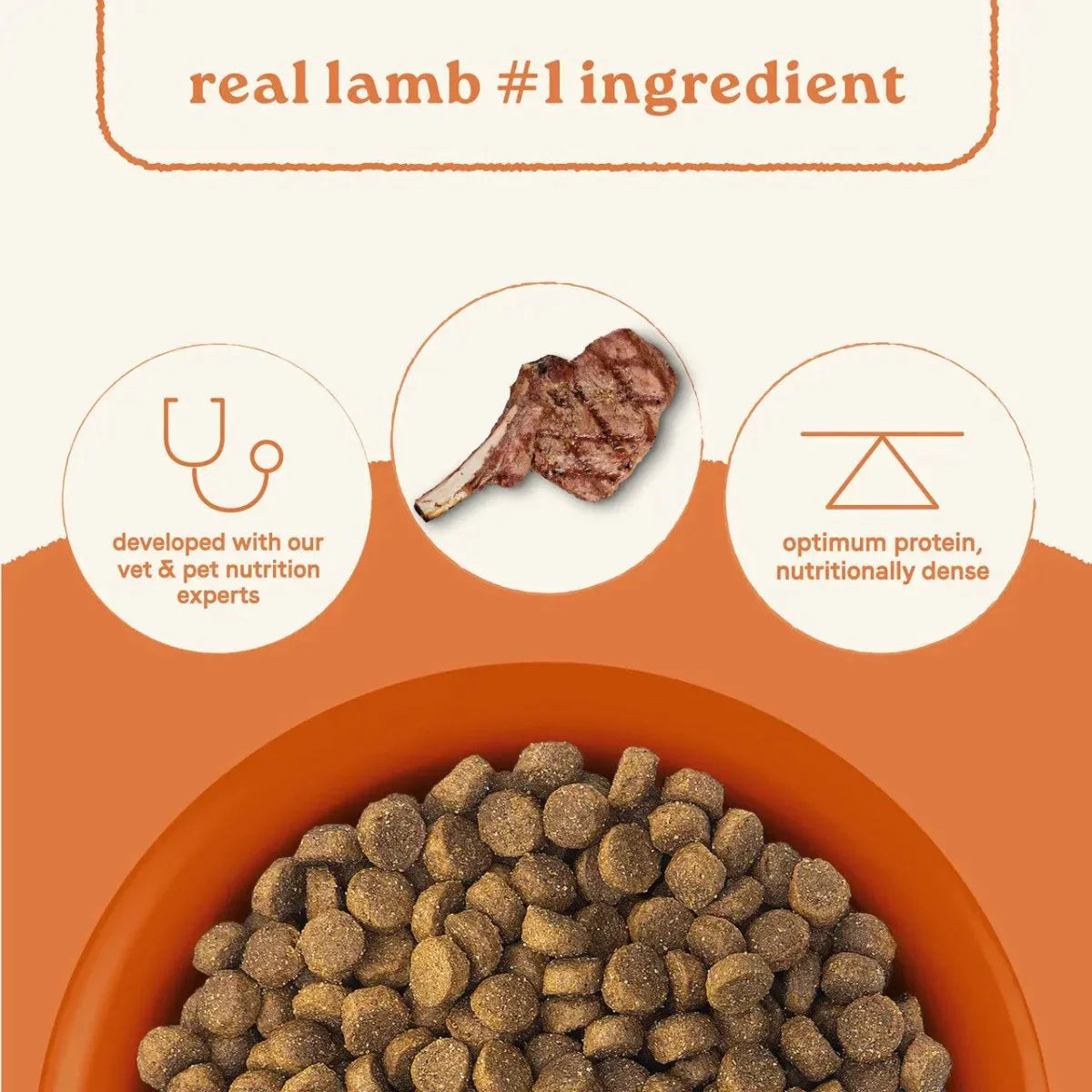 All Life Stages Dry Dog Food, Real Lamb & Ancient Grains Recipe - Talis Us