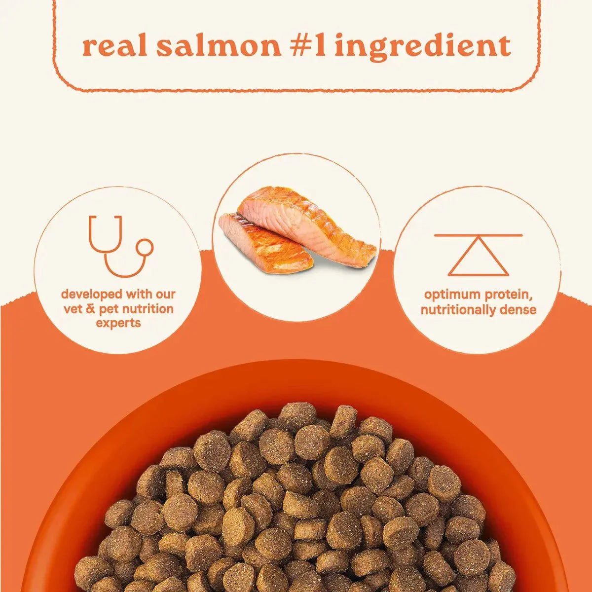 All Life Stages Dry Dog Food, Real Salmon & Ancient Grains Recipe - Talis Us