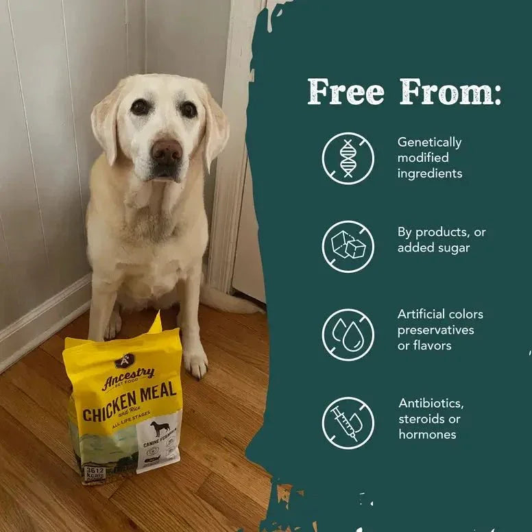 Ancestry Pet Food Chicken Meal & Brown Rice Formula Dry Kibble Dog Food - Talis Us