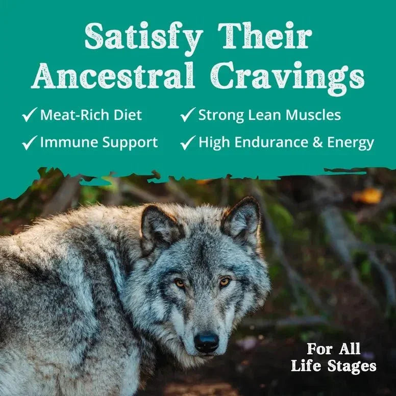 Ancestry Pet Food Lamb Meal & Brown Rice Formula Dry Kibble Dog Food - Talis Us