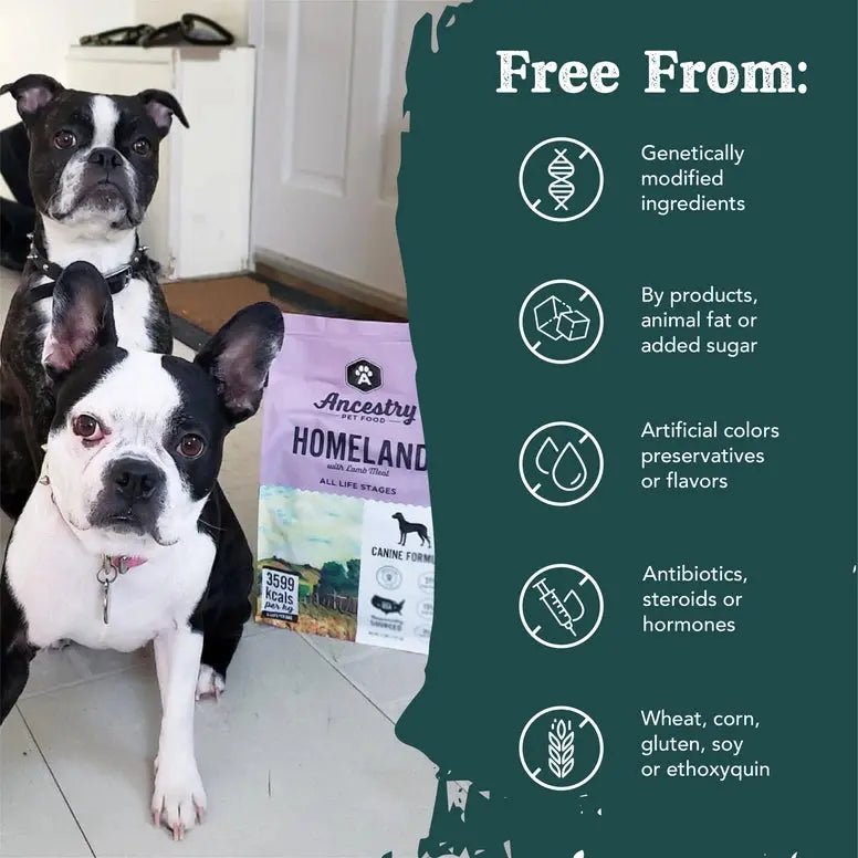Ancestry Pet Food Lamb Meal & Sweet Potato Formula Dry Kibble Dog Food - Talis Us