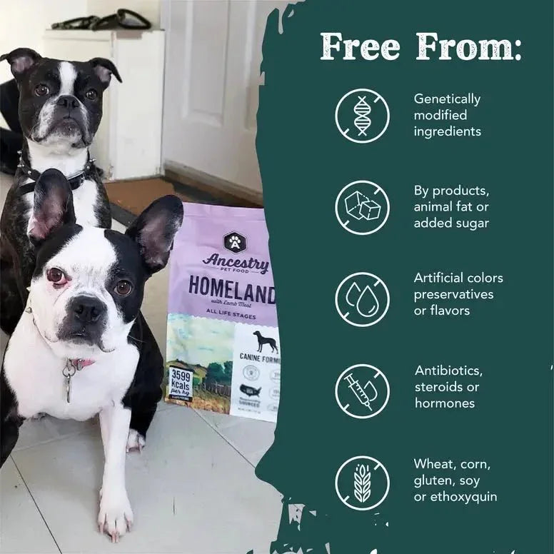 Ancestry Pet Food Lamb Meal & Sweet Potato Formula Dry Kibble Dog Food - Talis Us