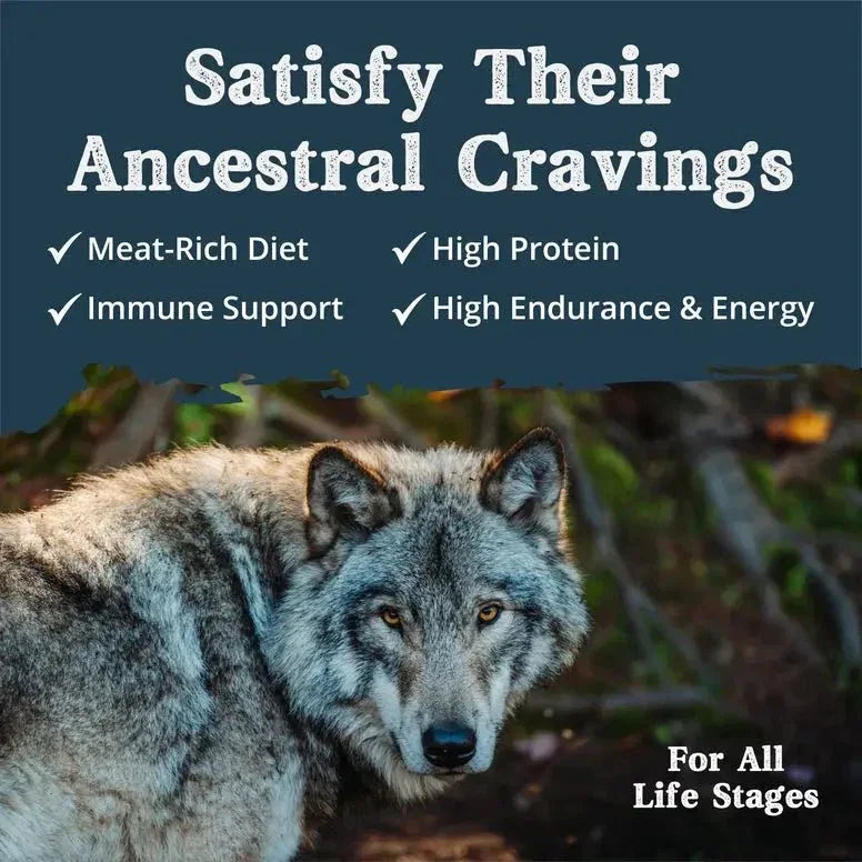 Ancestry Pet Food Salmon Meal & Sweet Potato Formula Dry Kibble Dog Food - Talis Us