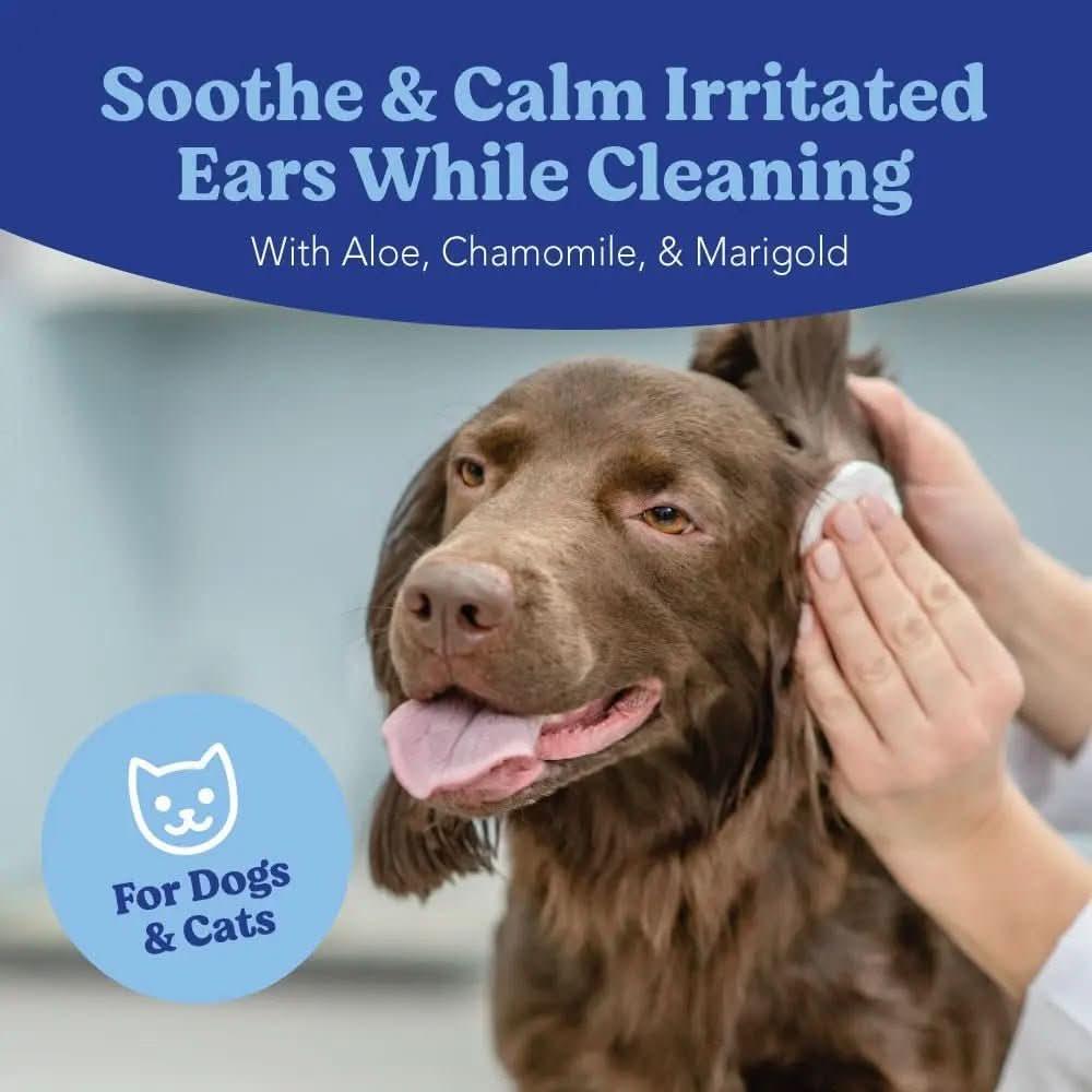Angels' Eyes Gentle Dog Ear Cleaning Wipes - Talis Us