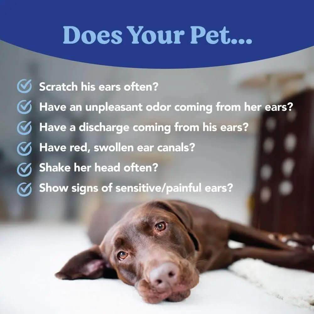 Angels' Eyes Zinc - Otic Ear Relief Treatment for Dogs & Cats 1 Ounce - Talis Us