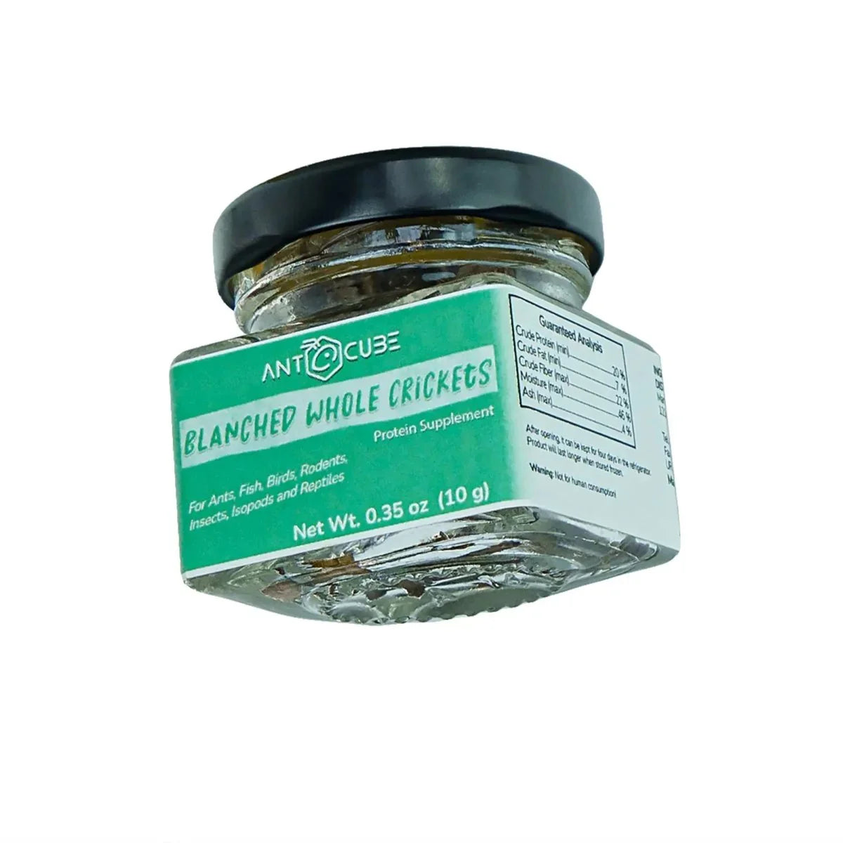 Antcube Blanched Whole Crickets - Talis Us