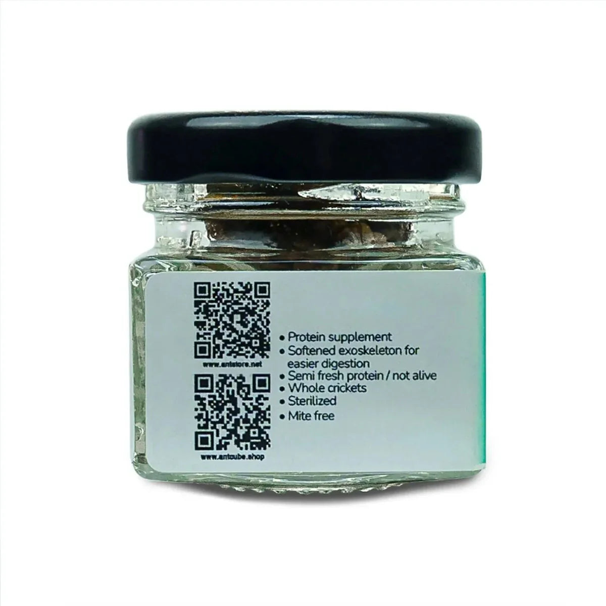 Antcube Blanched Whole Crickets - Talis Us