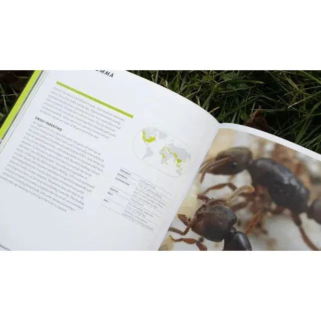 Ants: A Visual Guide by Heather Campbell and Benjamin Blanchard - Talis Us