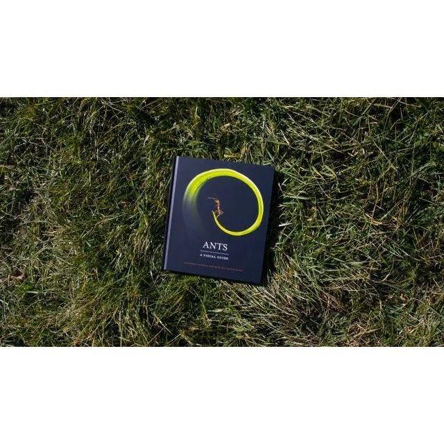 Ants: A Visual Guide by Heather Campbell and Benjamin Blanchard - Talis Us