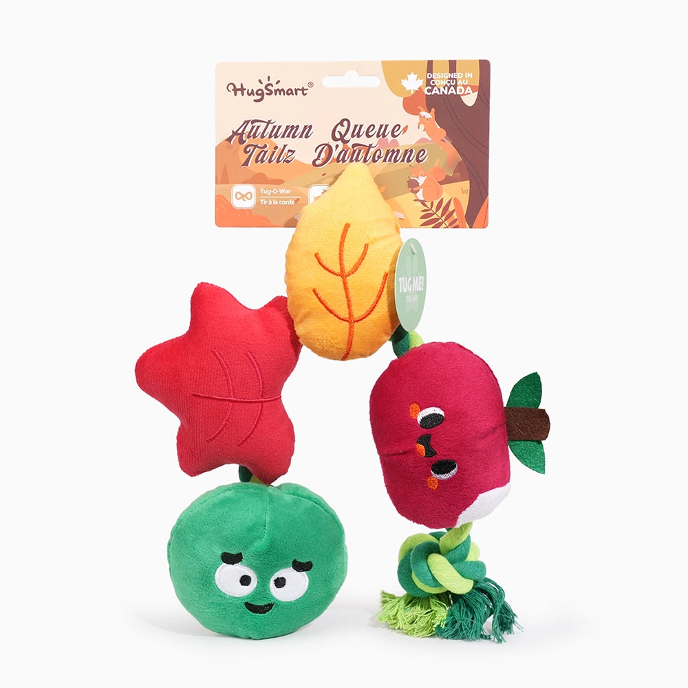 Hugsmart Pet apple and worm dog rope toy in vibrant colors featuring a smiling apple and leaves