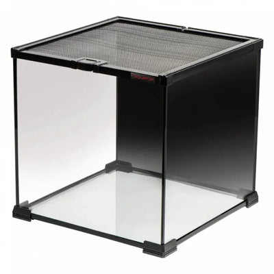 Aquatop Terrarium with Mesh Top Reptile and Amphibian Habitats - Talis Us