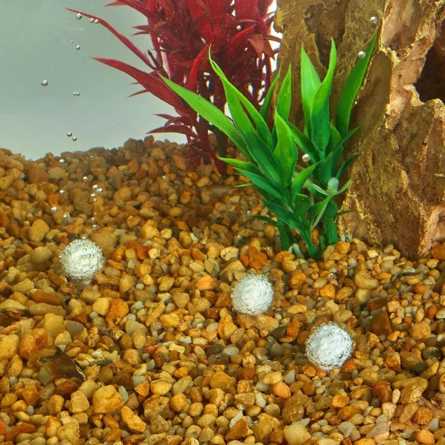 Aqueon AquaPacs Sludge Remover - Talis Us