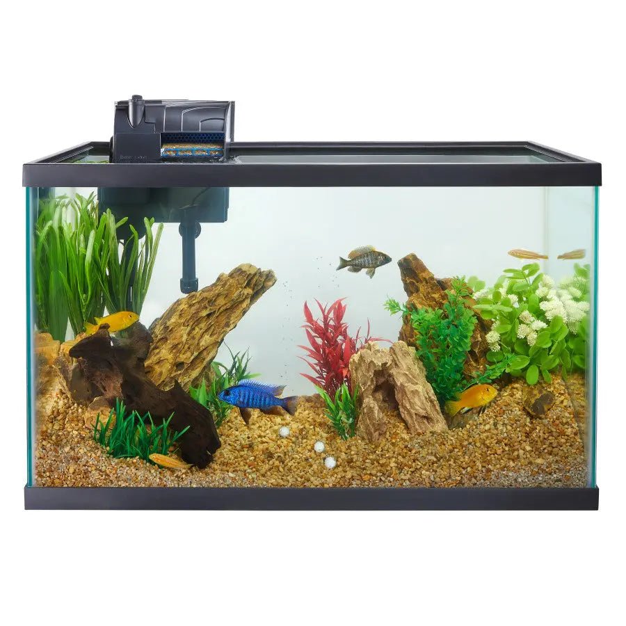 Aqueon AquaPacs Water Clarifier - Talis Us