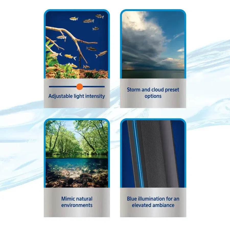 Aqueon OptiBright® SMART LED Light Fixture - Talis Us