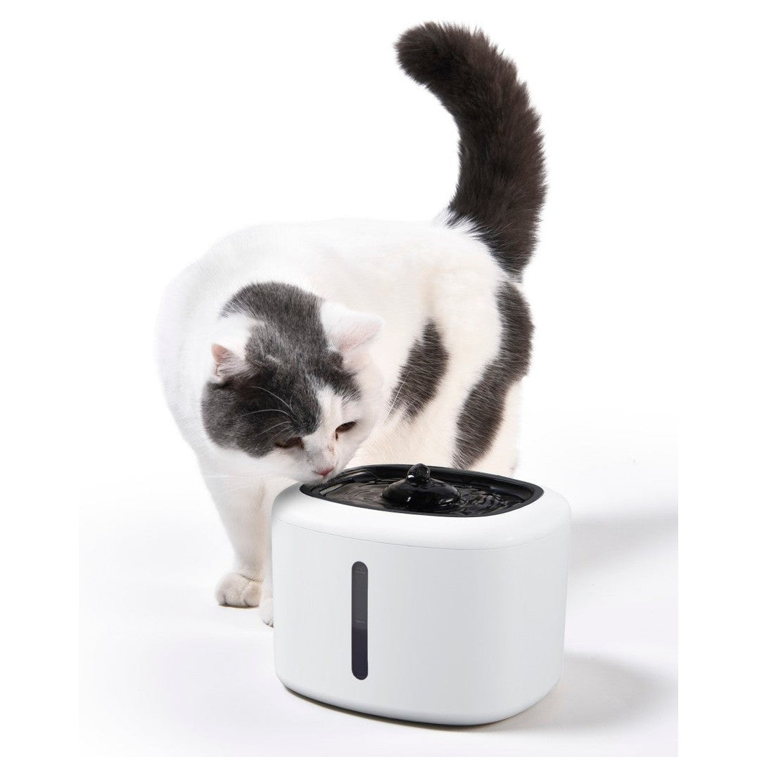 Max & Marlow automatic pet water fountain with a sleek design and a curious cat nearby