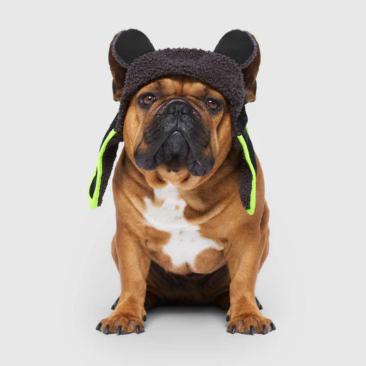 Canada Pooch Aviator Dog Hat with Ear Flaps for Small Dogs in Stylish Design