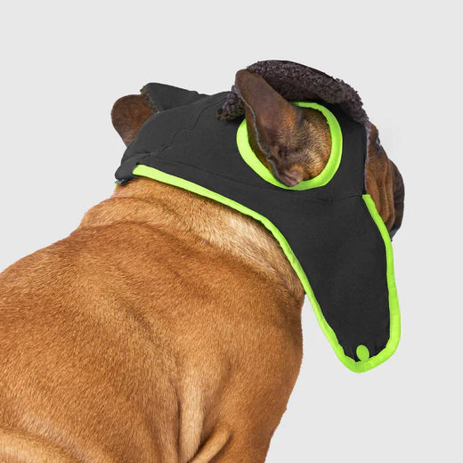 Aviator dog hat in black with bright green trim for stylish winter protection for dogs
