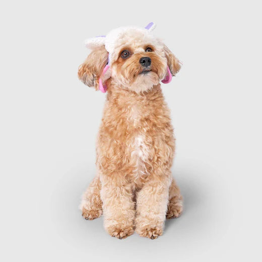 Cute dog wearing a Canada Pooch aviator dog hat with fluffy ears for a stylish look