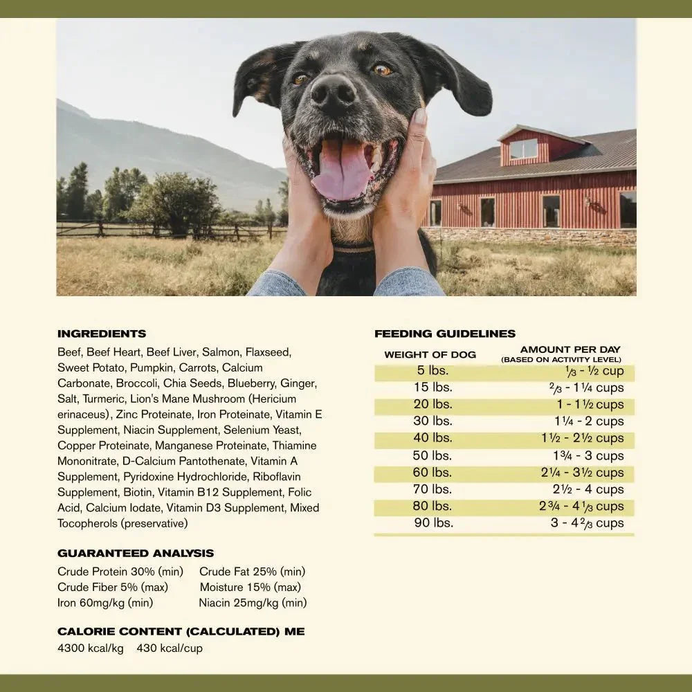 Badlands Ranch Superfood Complete Grain - Free Beef Air - Dried Dog Food - Talis Us