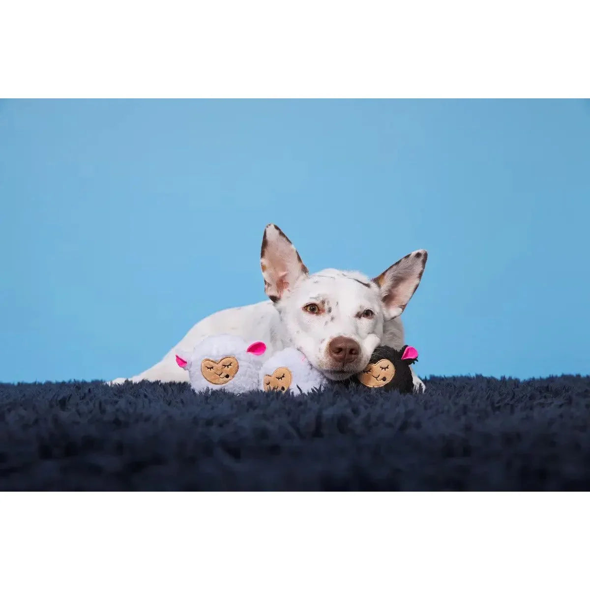 BARK Baa Baa Bark Sheep Dog Toys - Talis Us