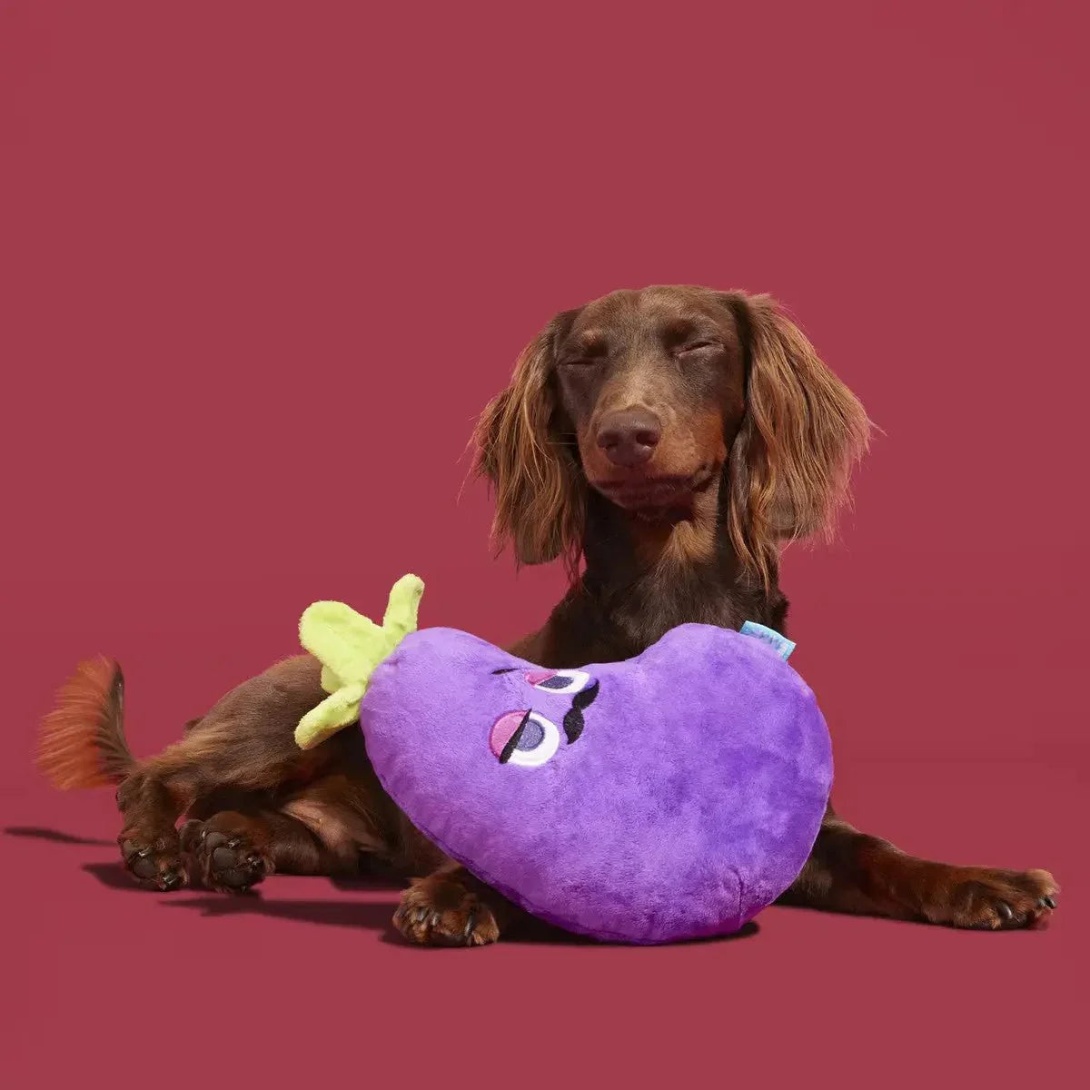 BARK Big Babbo Plush Dog Toy - Talis Us