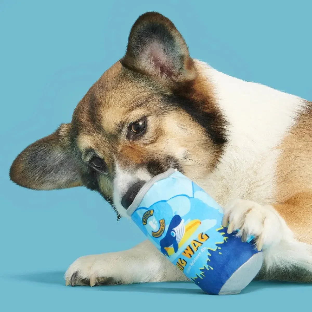 BARK Big Wag Beer Plush Dog Toy - Talis Us