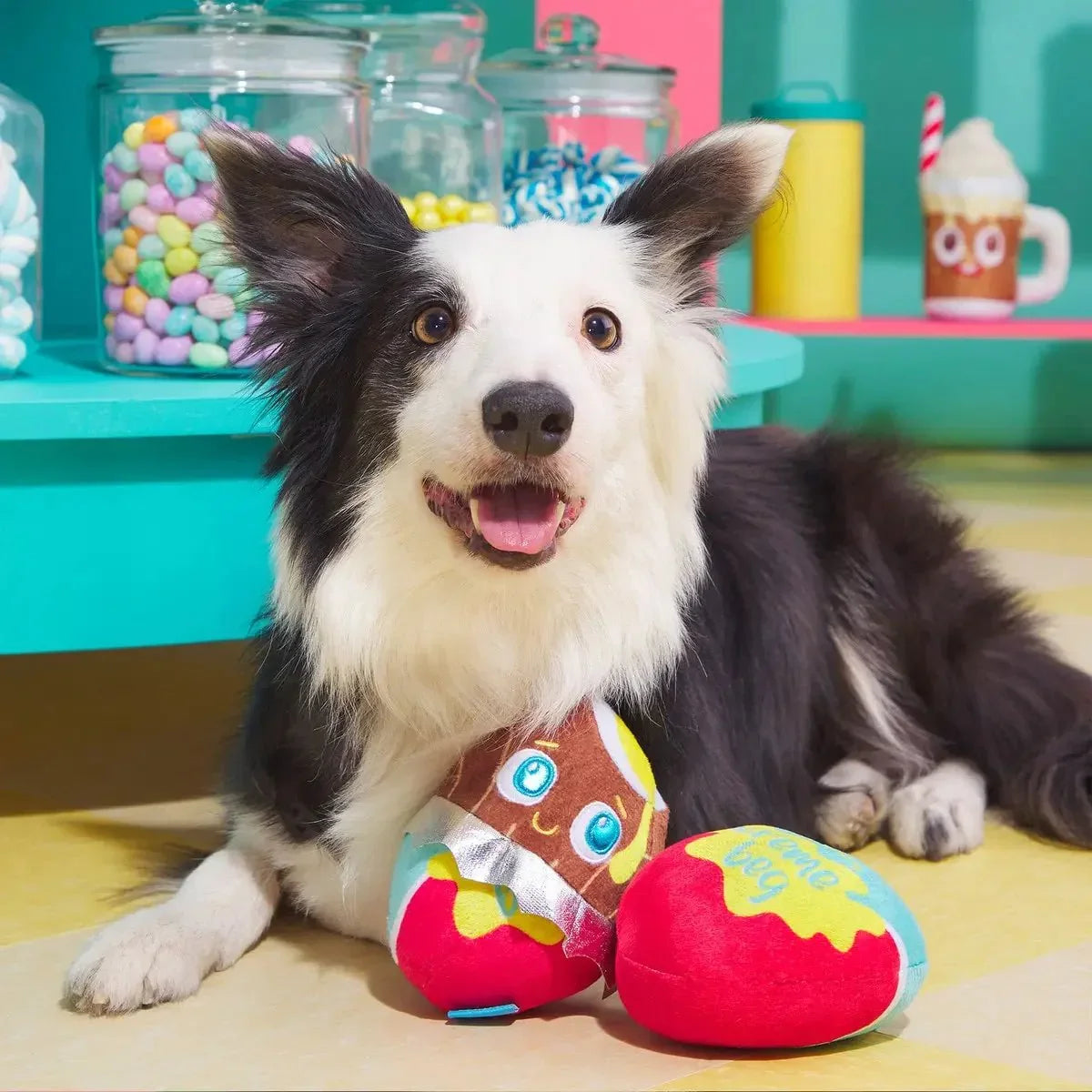 BARK Cadfurry Eggs Plush Dog Toy - Talis Us