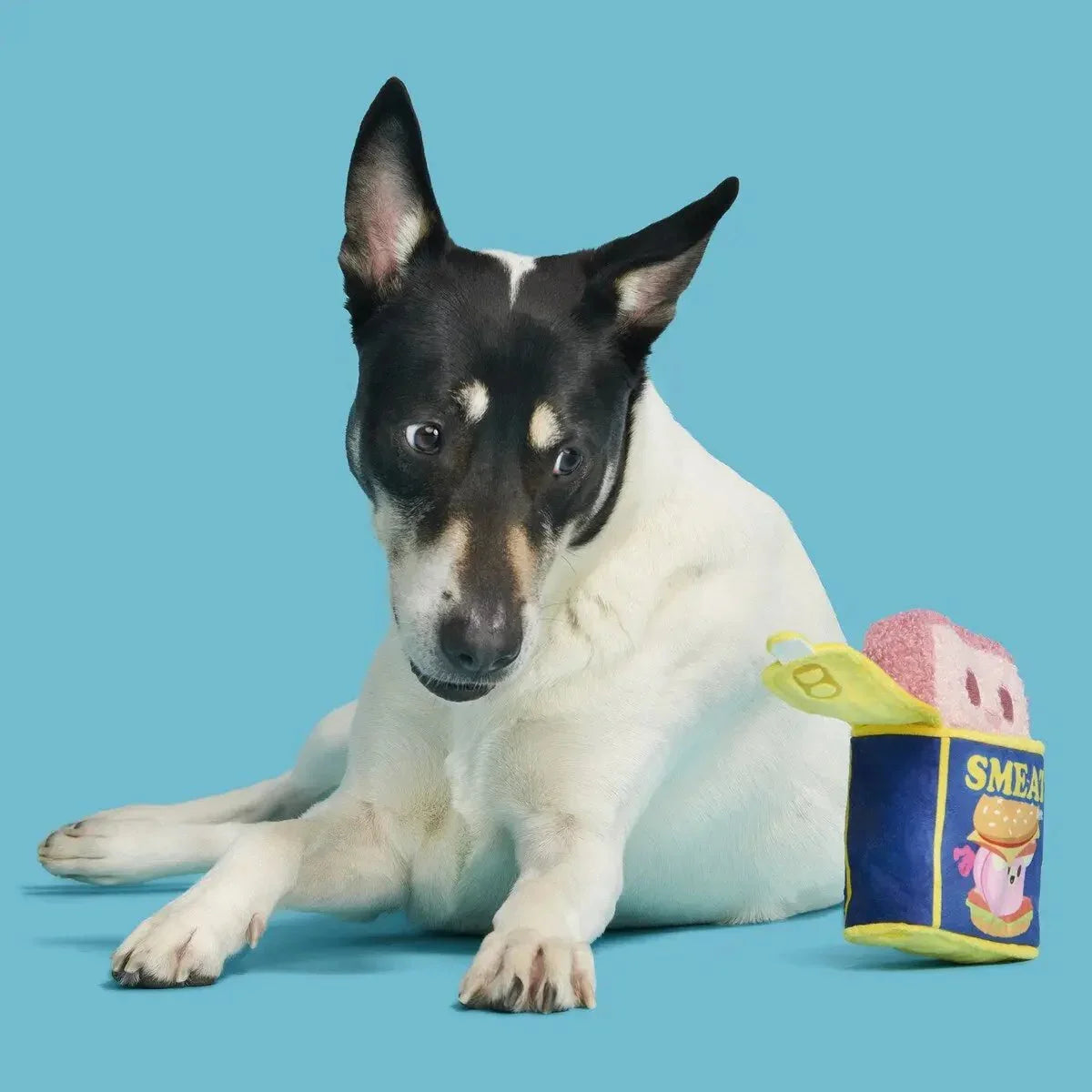 BARK Canned SMEAT Plush Dog Toy - Talis Us