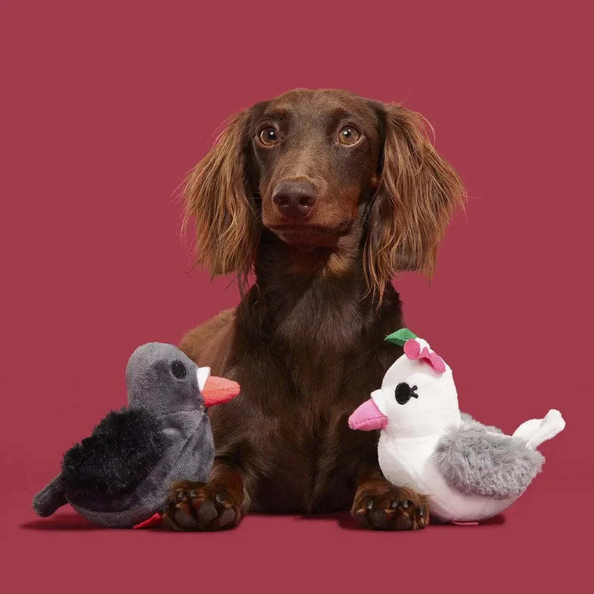 BARK Coo Amore Plush Dog Toy - Talis Us