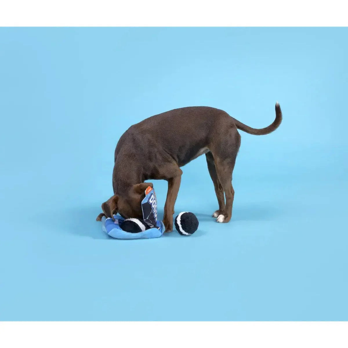 BARK Dogo Dunkers Plush Dog Toy 3pc - Talis Us