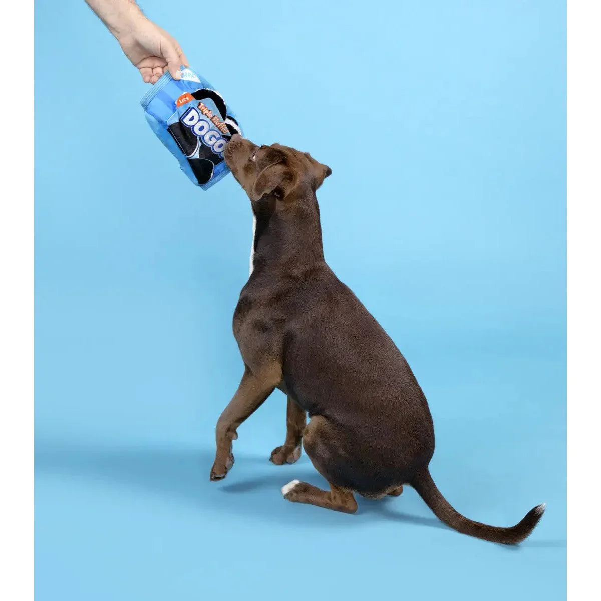 BARK Dogo Dunkers Plush Dog Toy 3pc - Talis Us