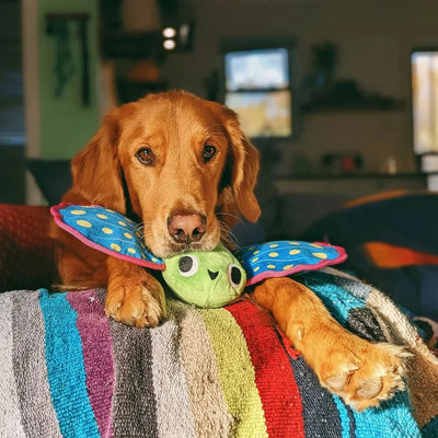 BARK Freddy Flying Fish Squeaky Plush Dog Toy - Talis Us