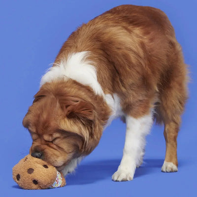 BARK Funfetchi Sniffwich Plush Dog Toy - Talis Us