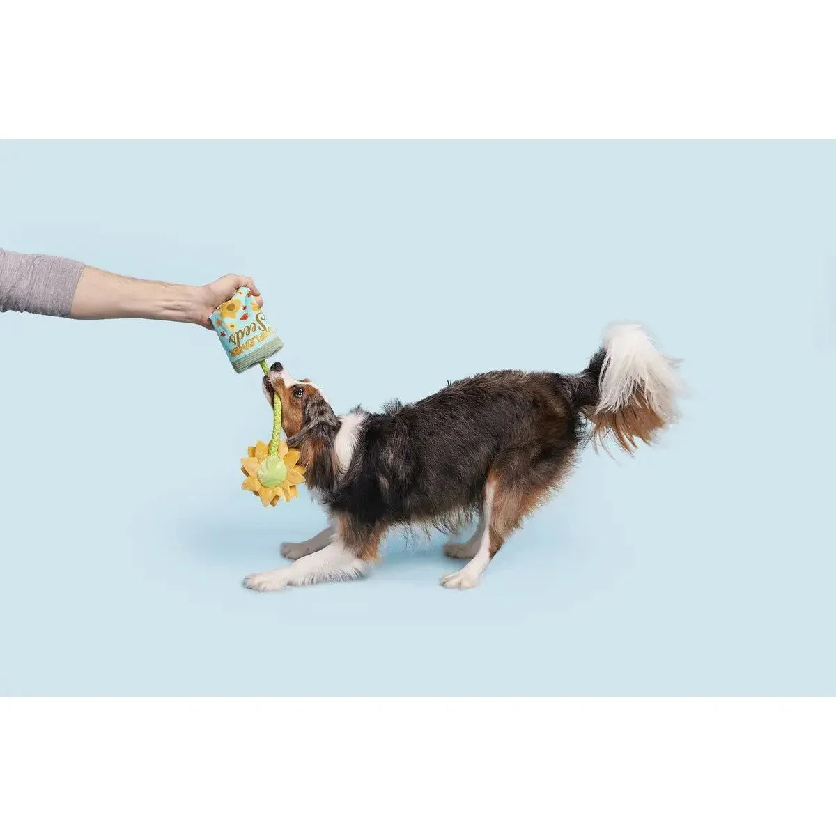 BARK Funflower Seeds Rope Dog Toy - Talis Us