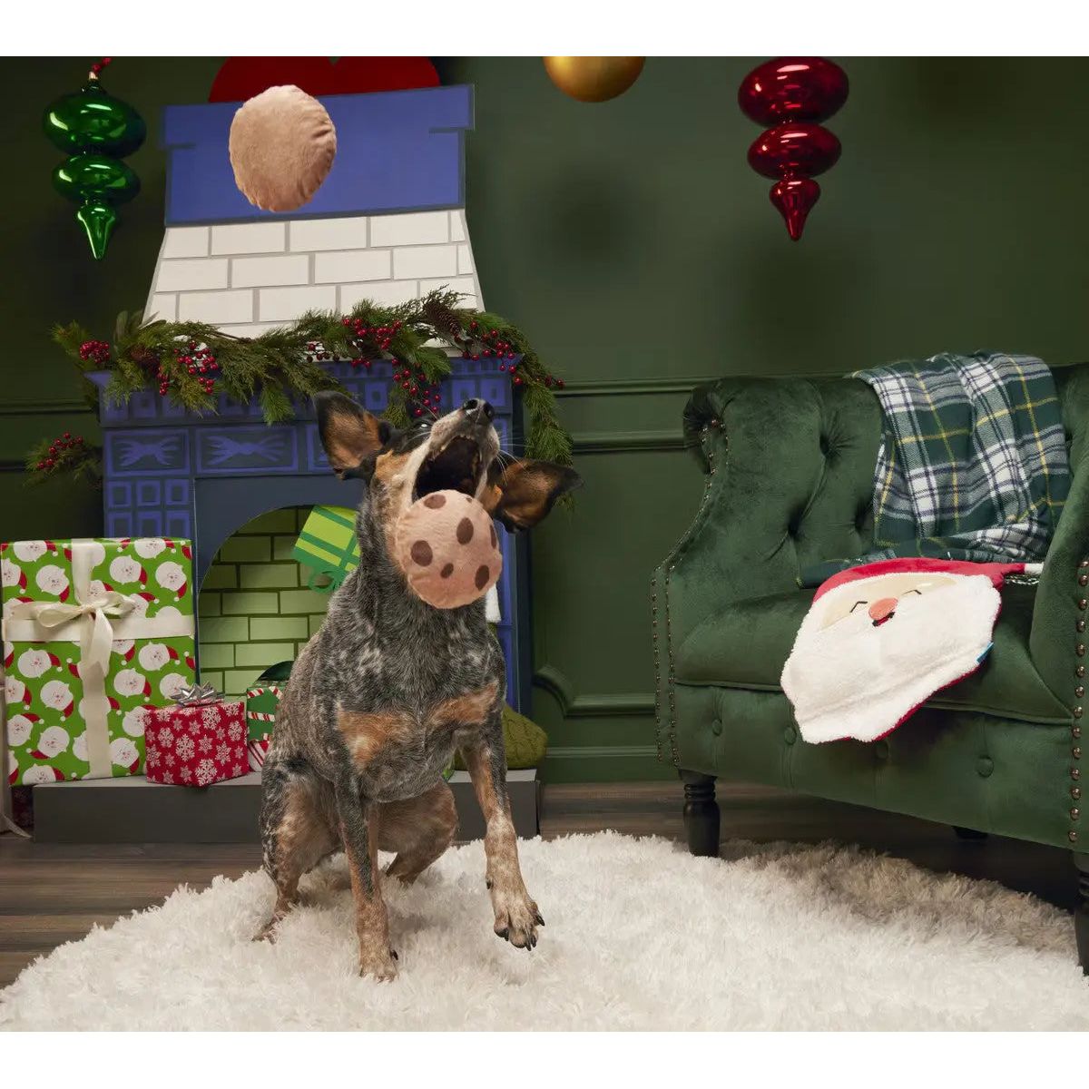 BARK Kris Krumble Plush Dog Toy - Talis Us