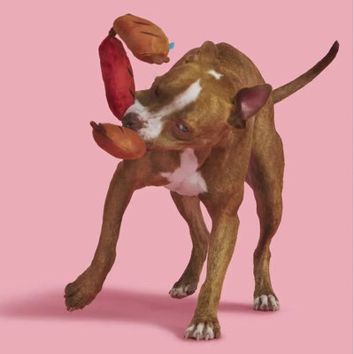 BARK Lickin' Links Plush Dog Toy - Talis Us