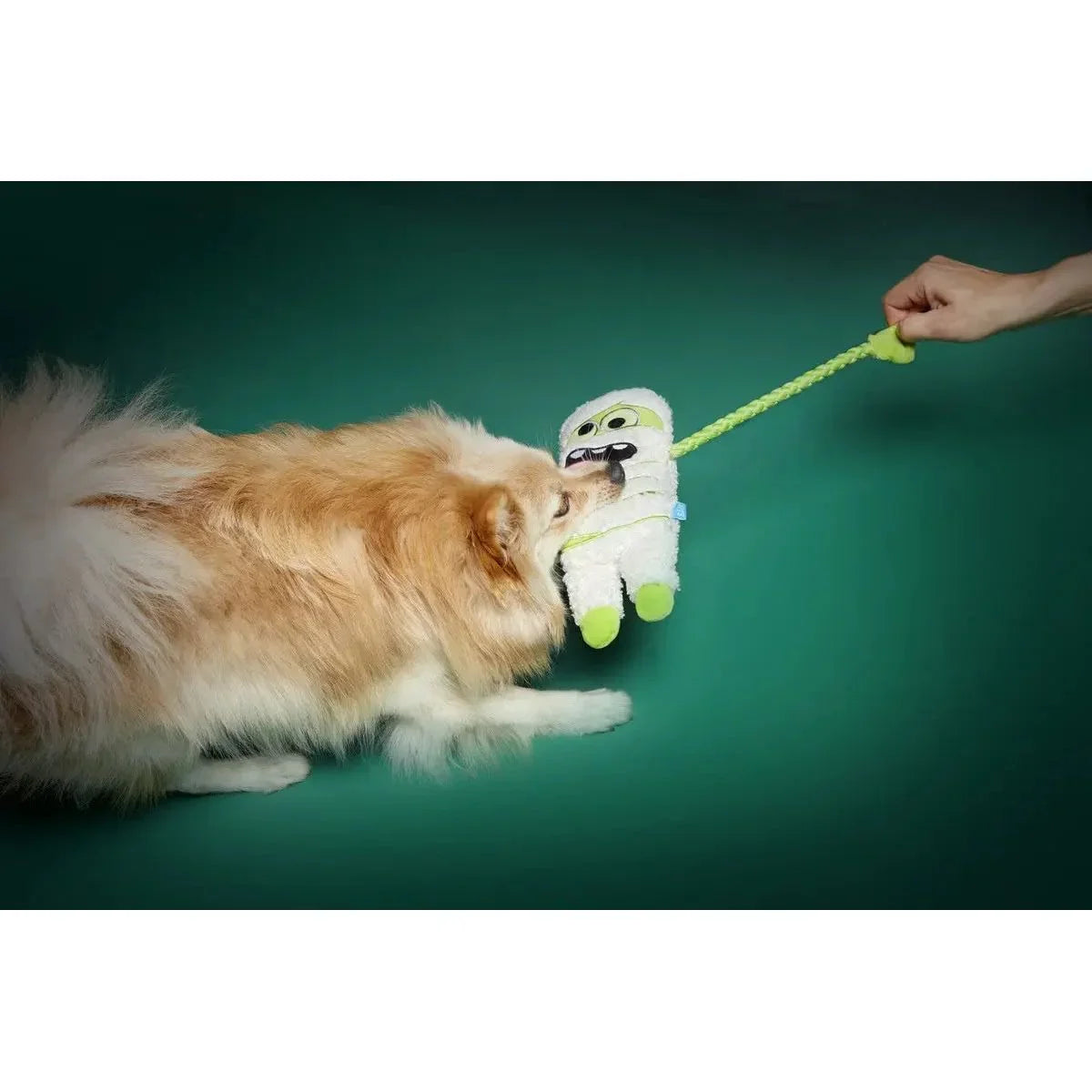 BARK Mummy Dearest Plush Dog Toy - Talis Us