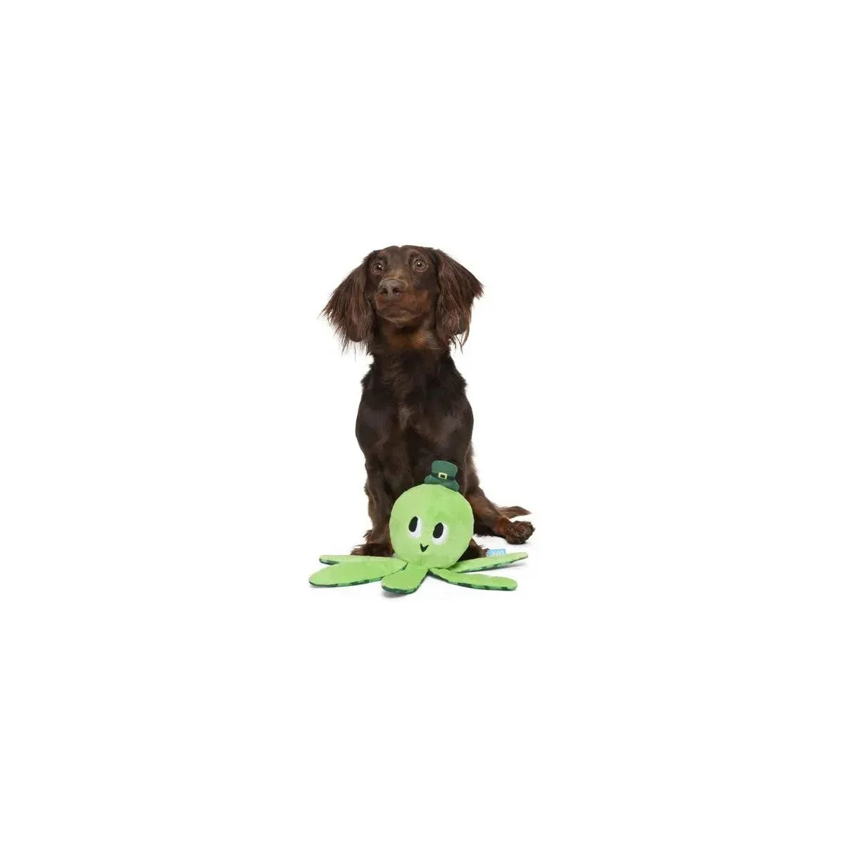 BARK Odd McOllie Plush Dog Toy - Talis Us