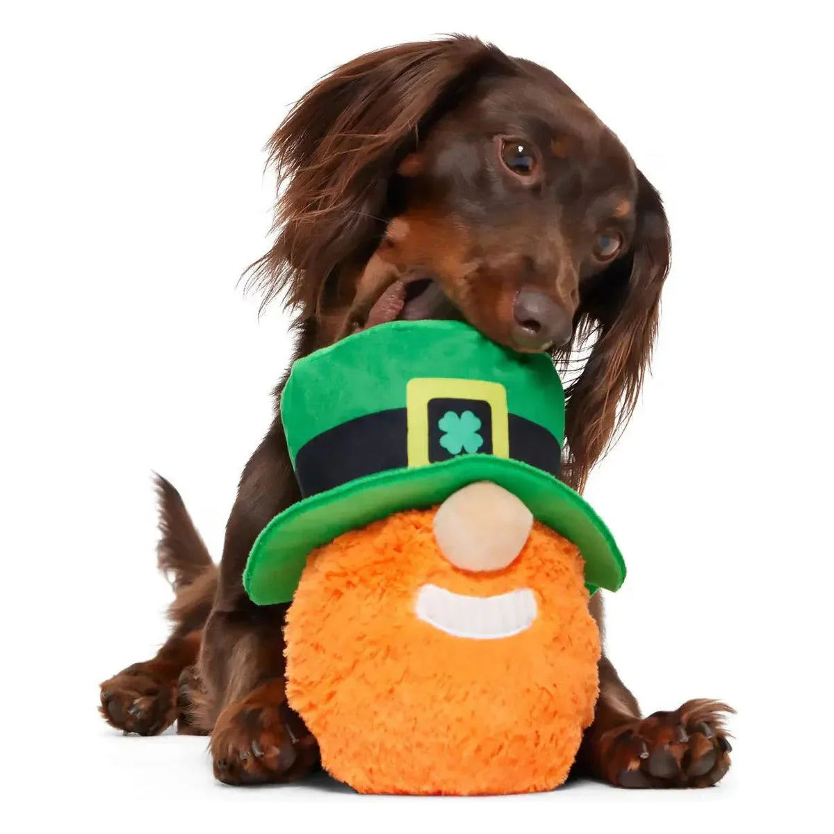 BARK Paddy O'Belly St. Patrick's Day Dog Toy - Talis Us