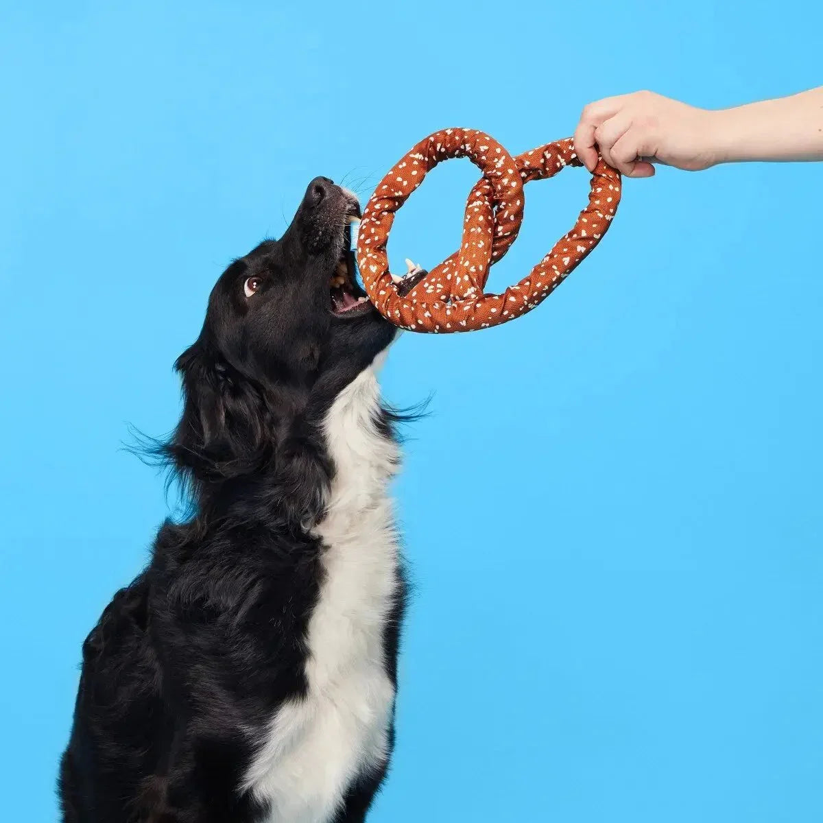 BARK Paula's Park Slope Pretzel Plush Dog Toy - Talis Us