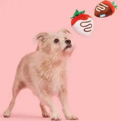 BARK Plush Strawberry Dog Toy for Fun Playtime - Talis Us