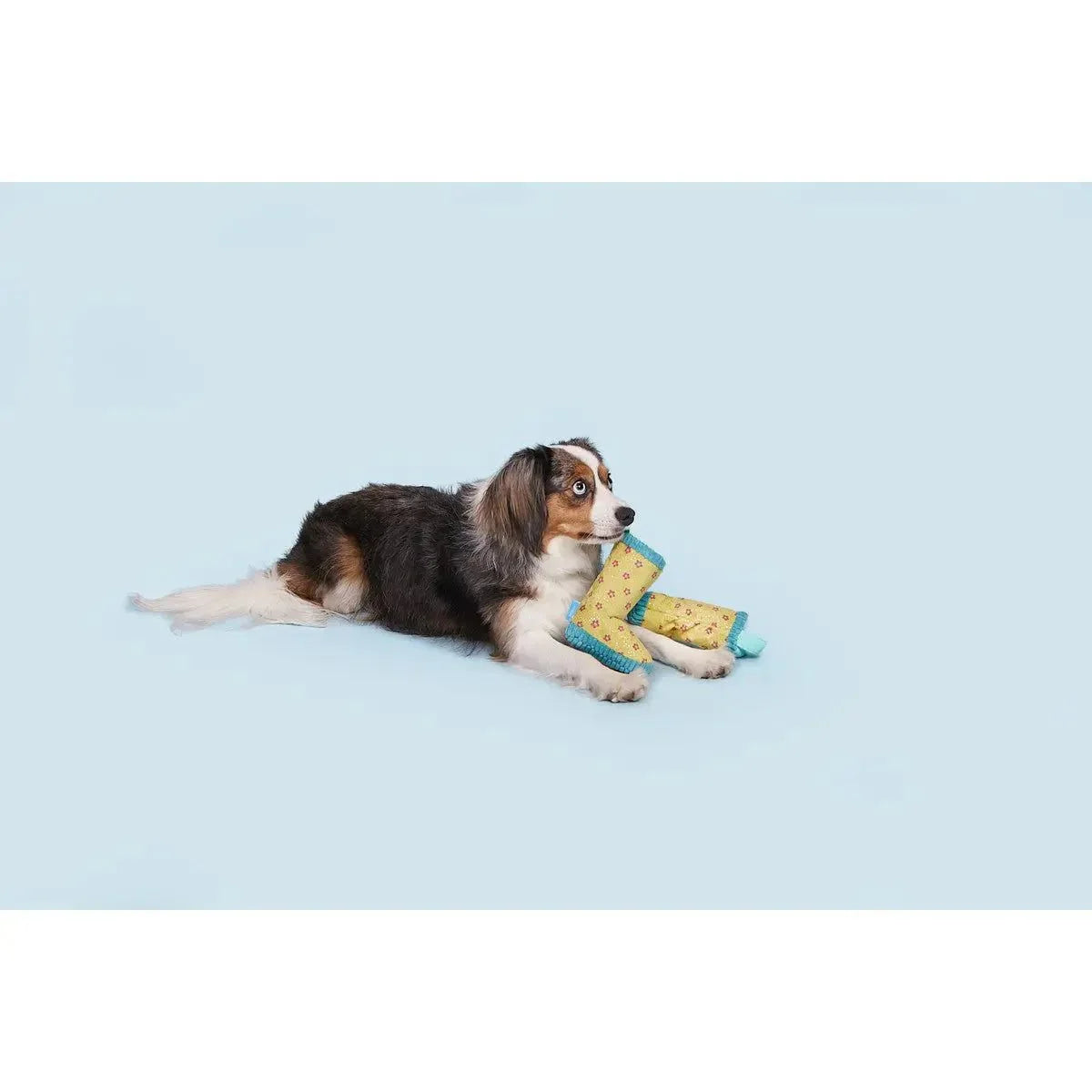 BARK Smelly Wellies Plush Dog Toy - Talis Us