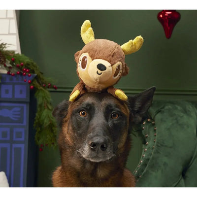 BARK Splootdolph Plush Dog Toy - Talis Us